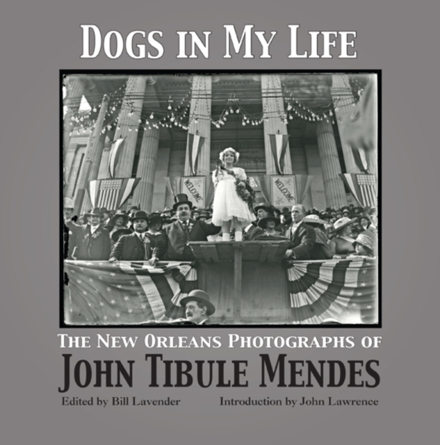 Dogs in My Life : The Photographs of John Tibule Mendes, Paperback / softback Book