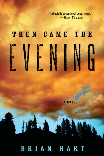 Then Came the Evening : A Novel, EPUB eBook