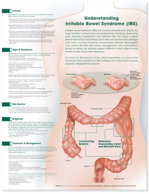 Understanding Irritable Bowel Syndrome Anatomical Chart, Wallchart Book