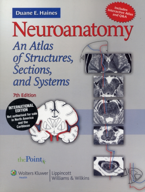 Neuroanatomy : An Atlas of Structures, Sections, and Systems, Paperback Book