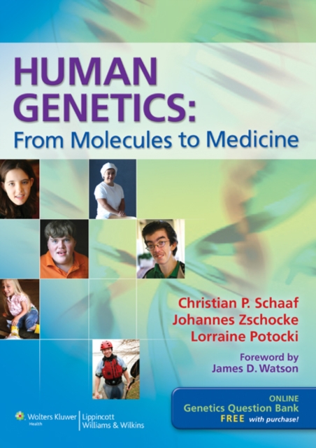 Human Genetics : From Molecules to Medicine, Paperback / softback Book