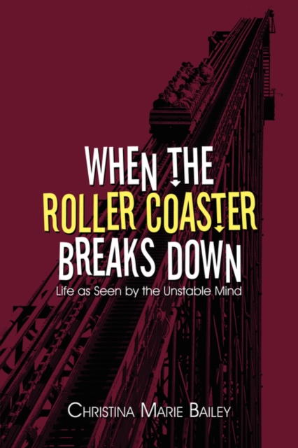 When the Roller Coaster Breaks Down : Life as Seen by the Unstable Mind, Paperback / softback Book