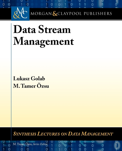 Data Stream Management, Paperback / softback Book