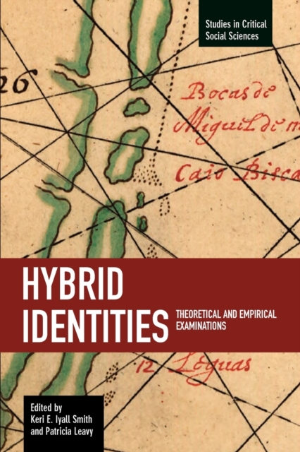 Hybrid Identities: Theoretical And Empirical Examinations : Studies in Critical Social Sciences, Volume 12, Paperback / softback Book