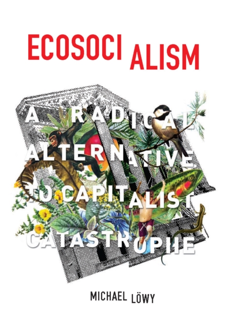 Ecosocialism : A Radical Alternative to Capitalist Catastrophe, Paperback / softback Book