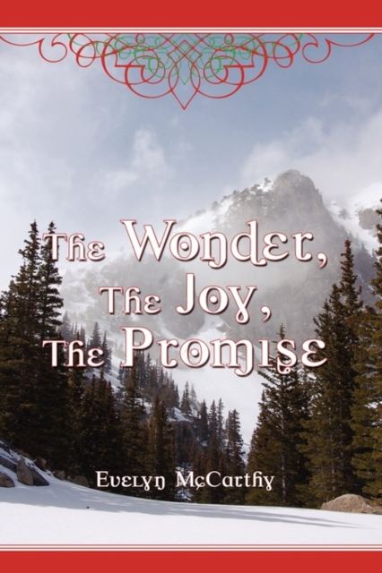 The Wonder, the Joy, the Promise Stories for Christmas, Hardback Book