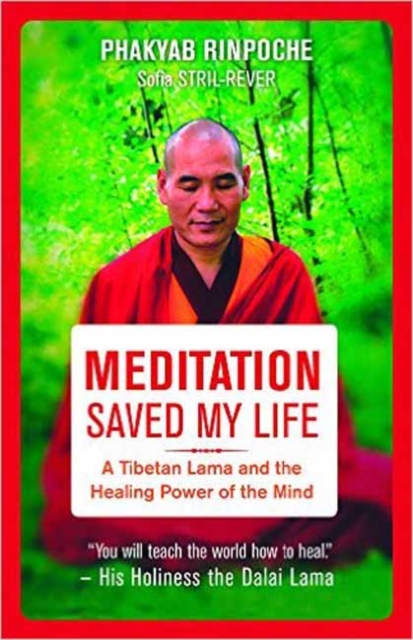 Meditation Saved My Life : A Tibetan Lama and the Healing Power of the Mind, Paperback / softback Book