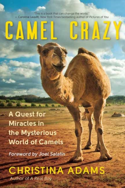 Camel Crazy : A Quest for Healing in the Secret World of Camels, Paperback / softback Book