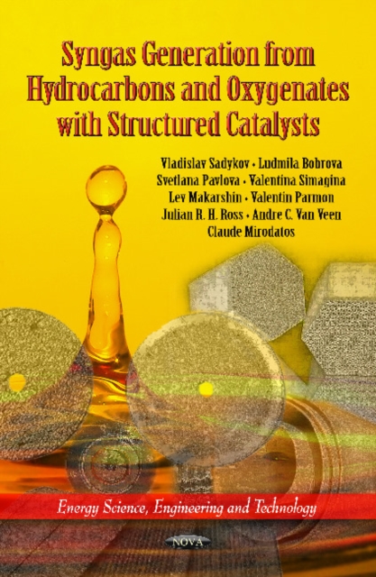 Syngas Generation from Hydrocarbons & Oxygenates with Structured Catalysts, Paperback / softback Book