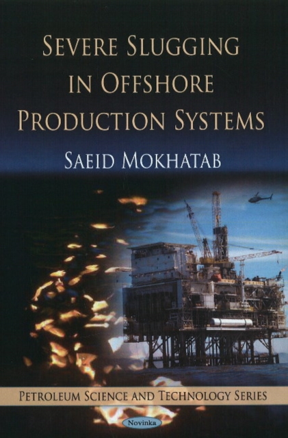 Severe Slugging in Offshore Production Systems, Paperback / softback Book