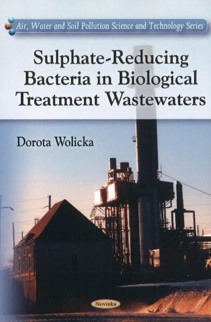 Sulphate-Reducing Bacteria in Biological Treatment Wastewaters, Paperback / softback Book