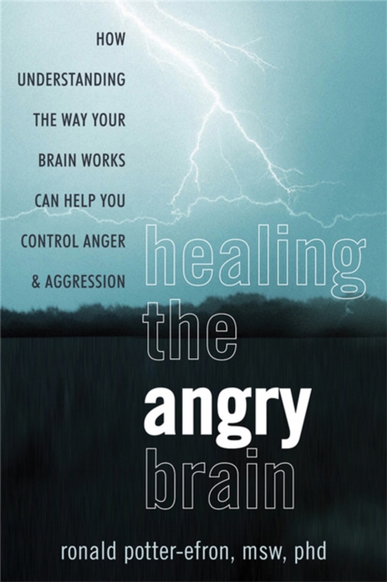 Healing the Angry Brain : How Understanding the Way Your Brain Works Can Help You Control Anger and Aggression, Paperback / softback Book