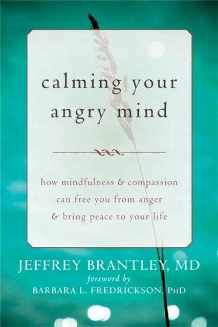 Calming Your Angry Mind : How Mindfulness and Compassion Can Free You from Anger and Bring Peace to Your Life, Paperback / softback Book