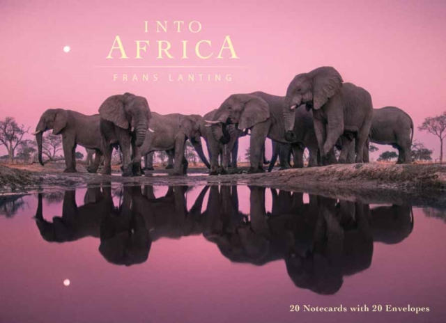 Into Africa: Blank Boxed Notecards, Paperback / softback Book