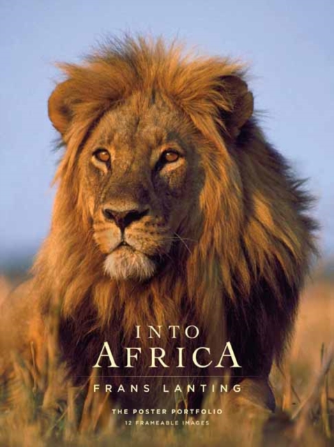 Into Africa: The Poster Portfolio : 12 Frameable Images, Paperback / softback Book