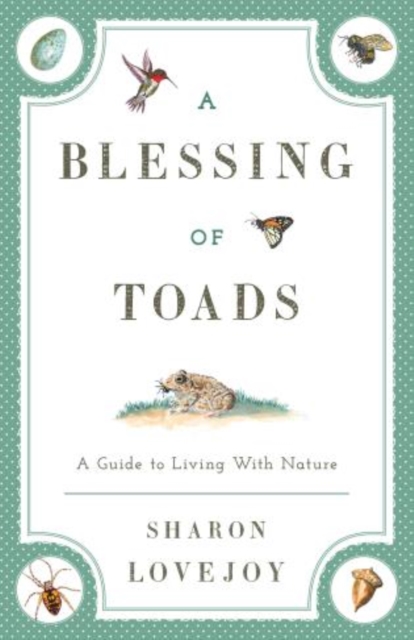 A Blessing of Toads : A Guide to Living With Nature, Paperback / softback Book