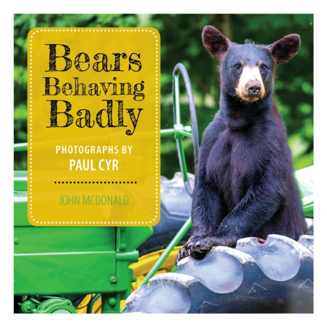 Bears Behaving Badly, Hardback Book