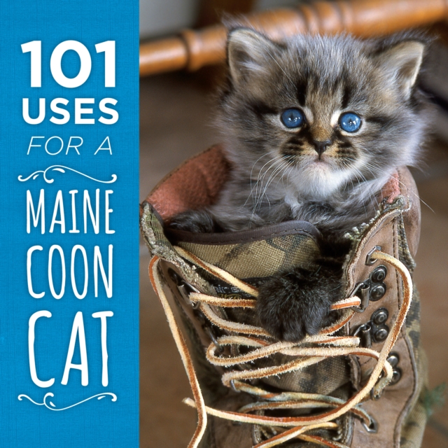 101 Uses for a Maine Coon Cat, Hardback Book