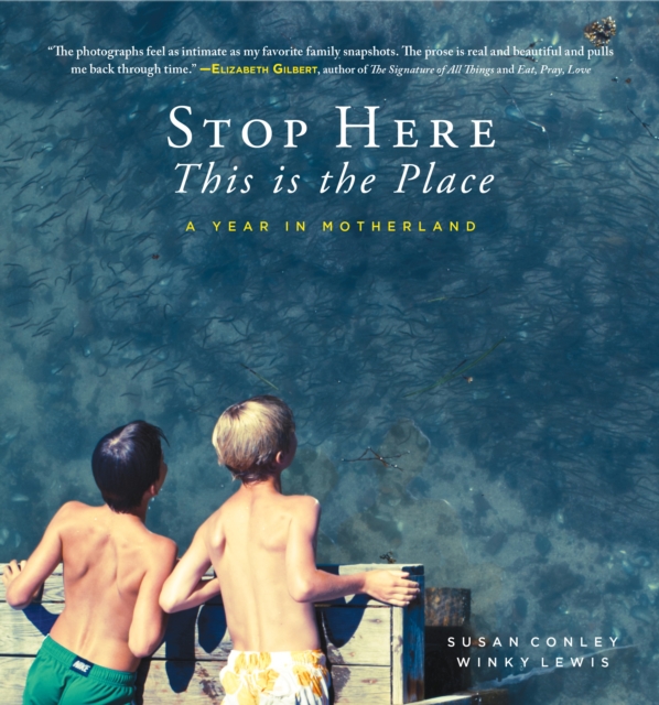 Stop Here, This is the Place, Hardback Book
