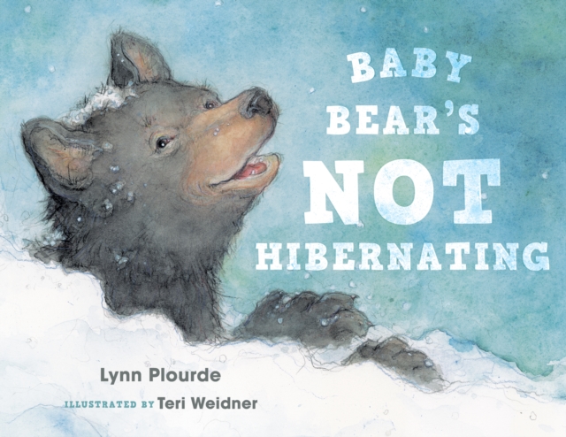 Baby Bear's Not Hibernating, Hardback Book