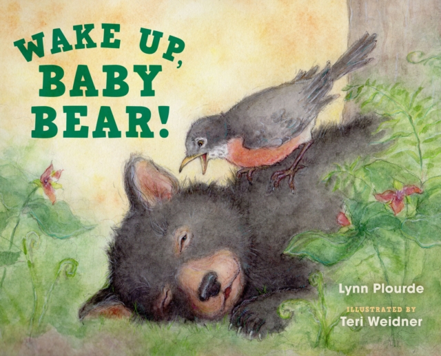 Wake Up, Baby Bear!, Hardback Book