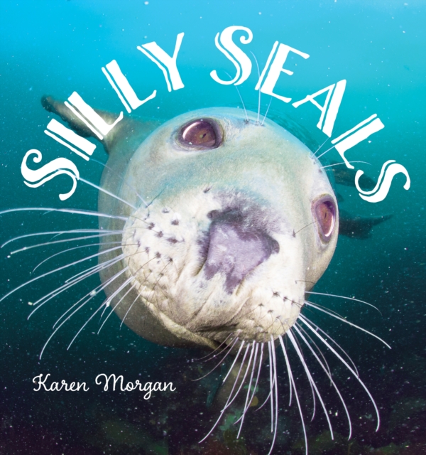 Silly Seals, Hardback Book