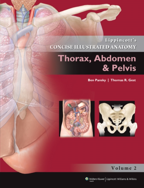 Lippincott Concise Illustrated Anatomy : Thorax, Abdomen & Pelvis, Paperback / softback Book