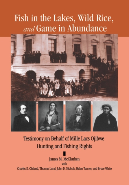 Fish in the Lakes, Wild Rice,  and Game in Abundance : Testimony on Behalf of Mille Lacs Ojibwe Hunting and Fishing Rights, PDF eBook