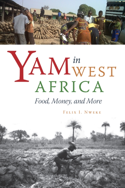 Yam in West Africa : Food, Money, and More, PDF eBook