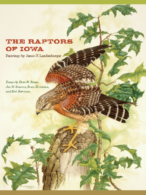 The Raptors of Iowa, Paperback / softback Book