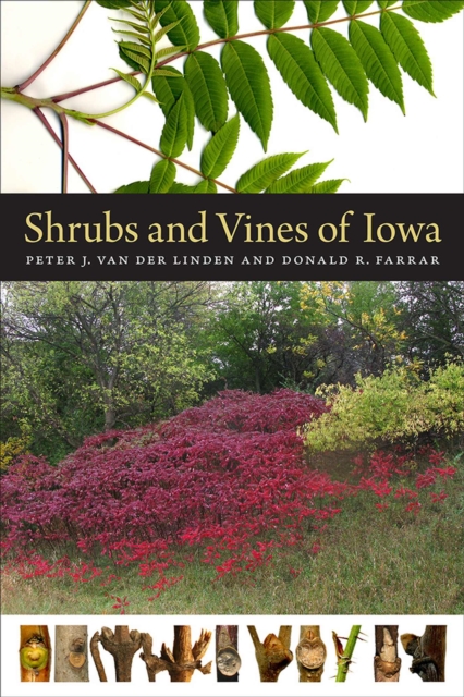 Shrubs and Vines of Iowa, Paperback / softback Book