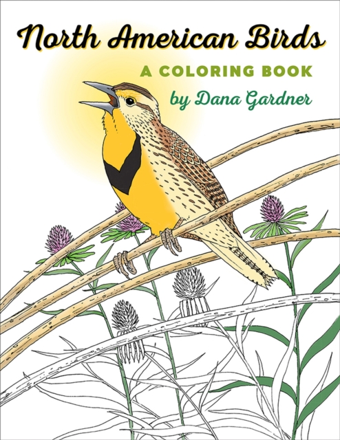 North American Birds : A Coloring Book, Paperback / softback Book