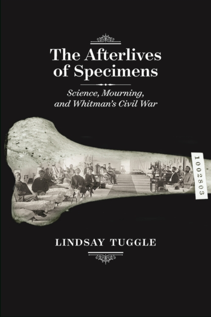 The Afterlives of Specimens : Science, Mourning, and Whitman's Civil War, Paperback / softback Book