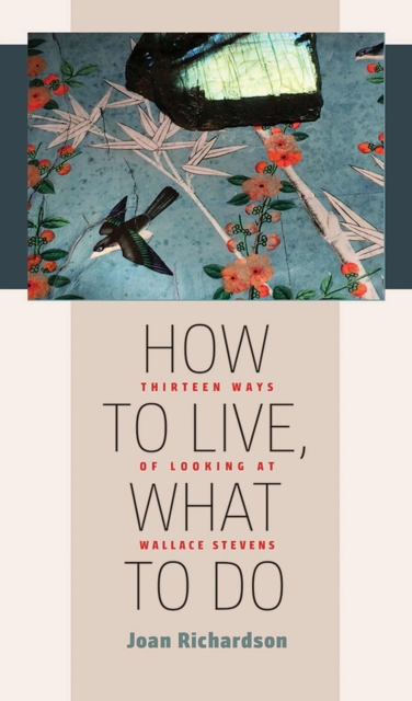 How to Live, What to Do : Thirteen Ways of Looking at Wallace Stevens, Paperback / softback Book