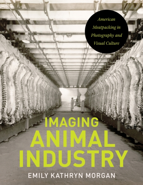 Imaging Animal Industry : American Meatpacking in Photography and Visual Culture, Paperback / softback Book