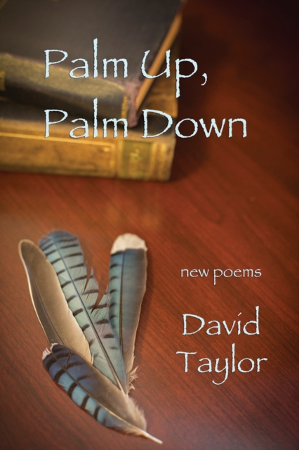 Palm Up, Palm Down, Paperback / softback Book