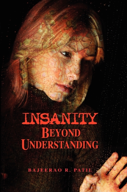 Insanity - Beyond Understanding, Paperback / softback Book