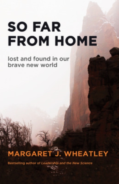 So Far from Home: Lost and Found in Our Brave New World, Paperback / softback Book