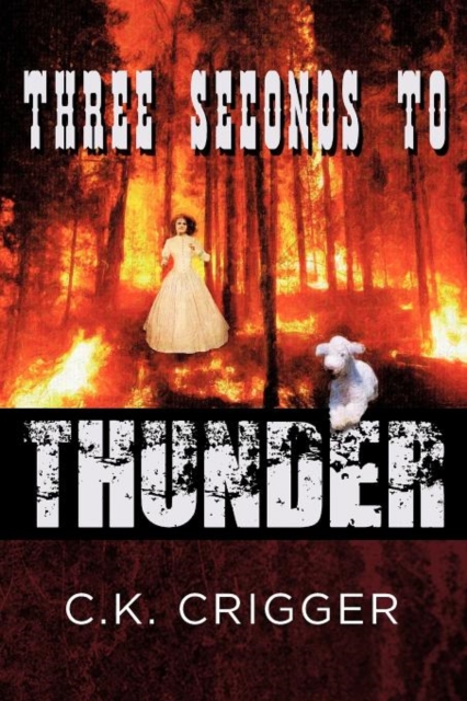 Three Seconds to Thunder, Paperback / softback Book
