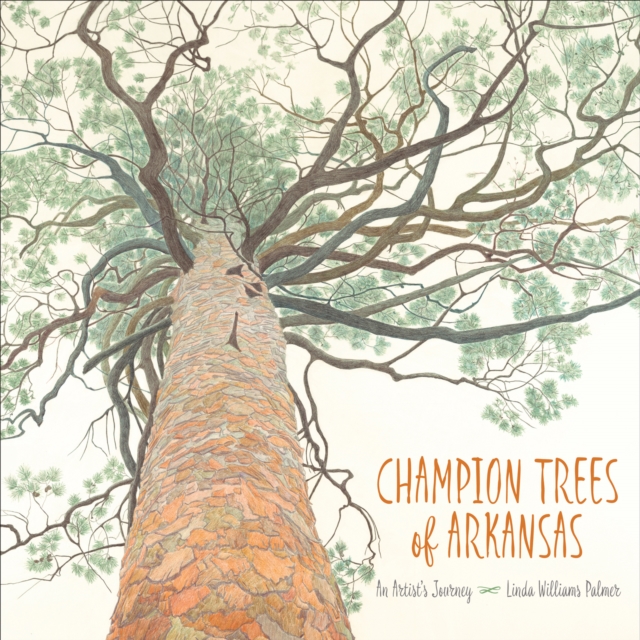 Champion Trees of Arkansas : An Artist's Journey, PDF eBook