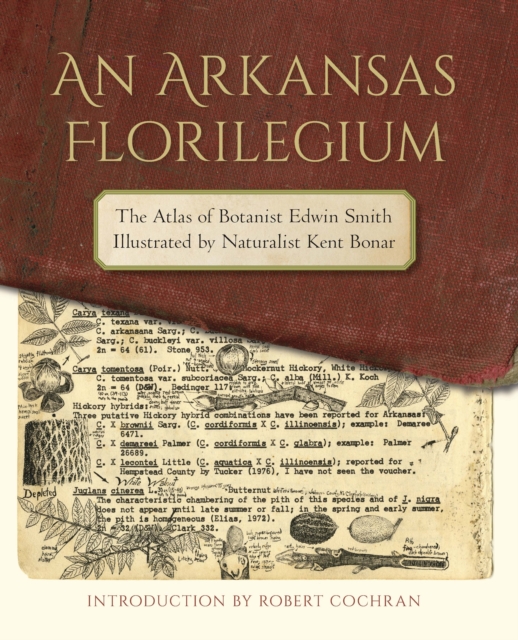 An Arkansas Florilegium : The Atlas of Botanist Edwin Smith Illustrated by Naturalist Kent Bonar, PDF eBook