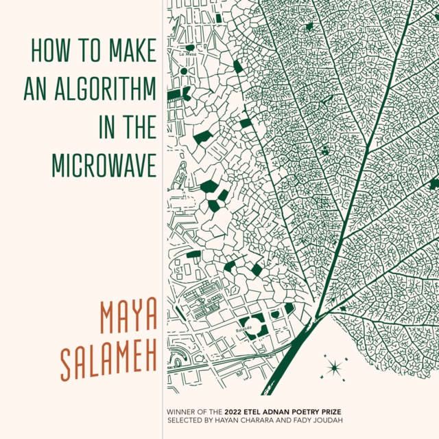 How to Make an Algorithm in the Microwave, PDF eBook