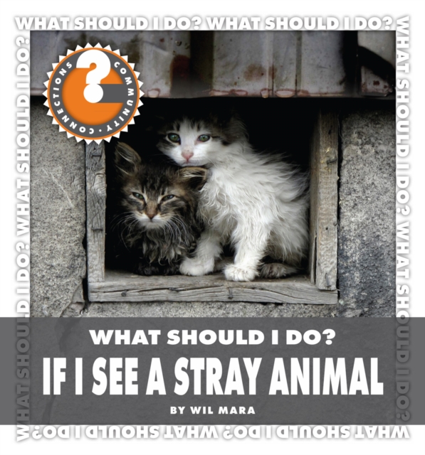 What Should I Do? If I See a Stray Animal, PDF eBook