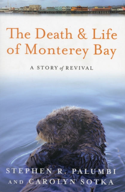 The Death and Life of Monterey Bay : A Story of Revival, Paperback / softback Book