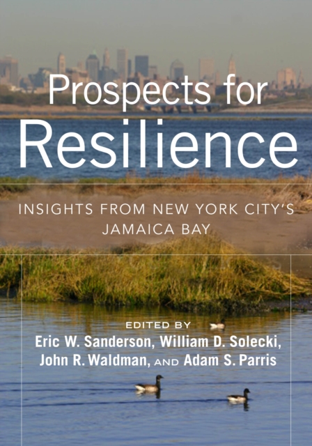 Prospects for Resilience : Insight from New York City's Jamaica Bay, Paperback / softback Book