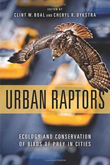 Urban Raptors : Ecology and Conservation of Birds of Prey in Cities, Paperback / softback Book