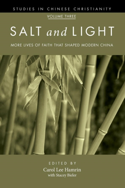 Salt and Light, Volume 3, Paperback / softback Book
