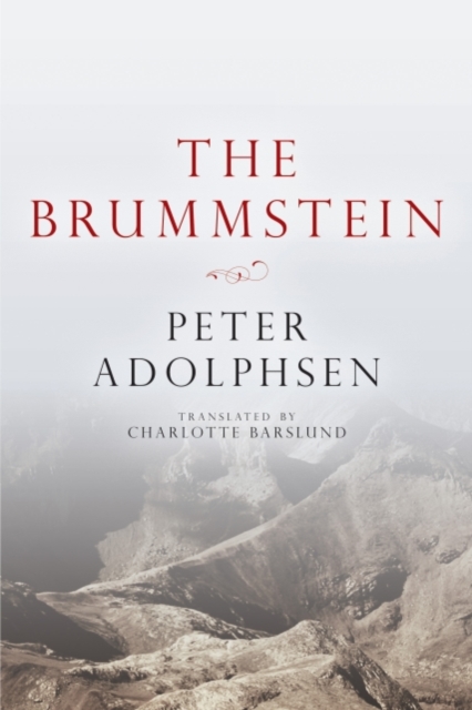 The Brummstein, Paperback / softback Book