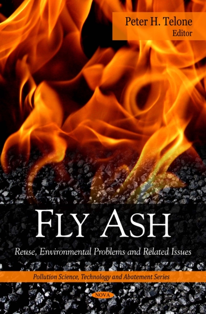 Fly Ash : Reuse, Environmental Problems and Related Issues, PDF eBook