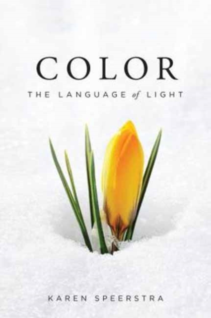 Color : The Language of Light, Paperback / softback Book